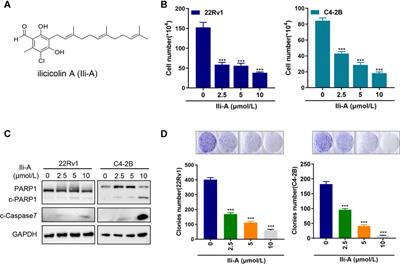 Ilicicolin A Exerts Antitumor Effect in Castration-Resistant Prostate Cancer Via Suppressing EZH2 Signaling Pathway